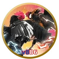 v886